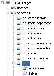 The dbo database selected and expanded